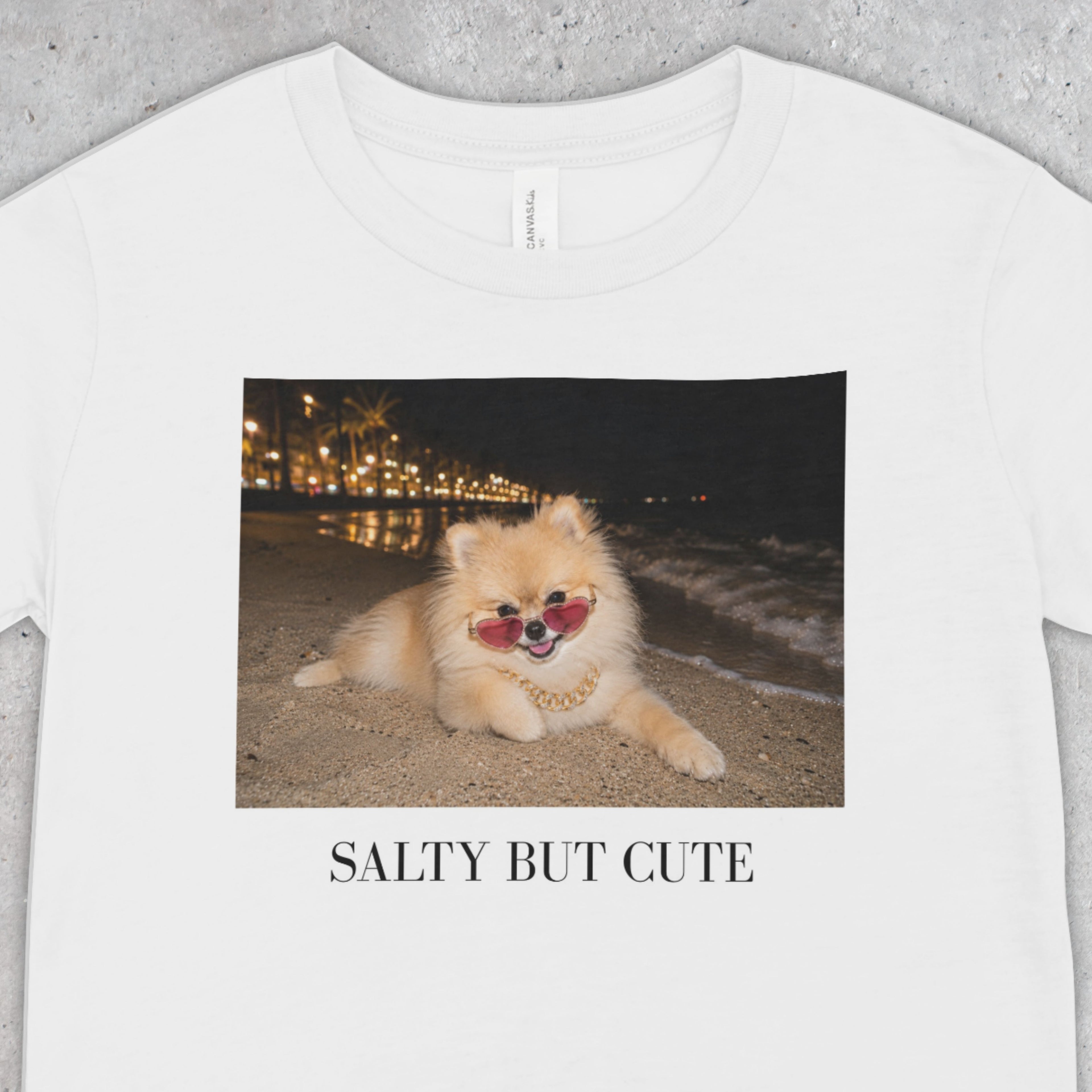Salty But Cute Pomeranian Beach T-Shirt | Dog Lover Tee
