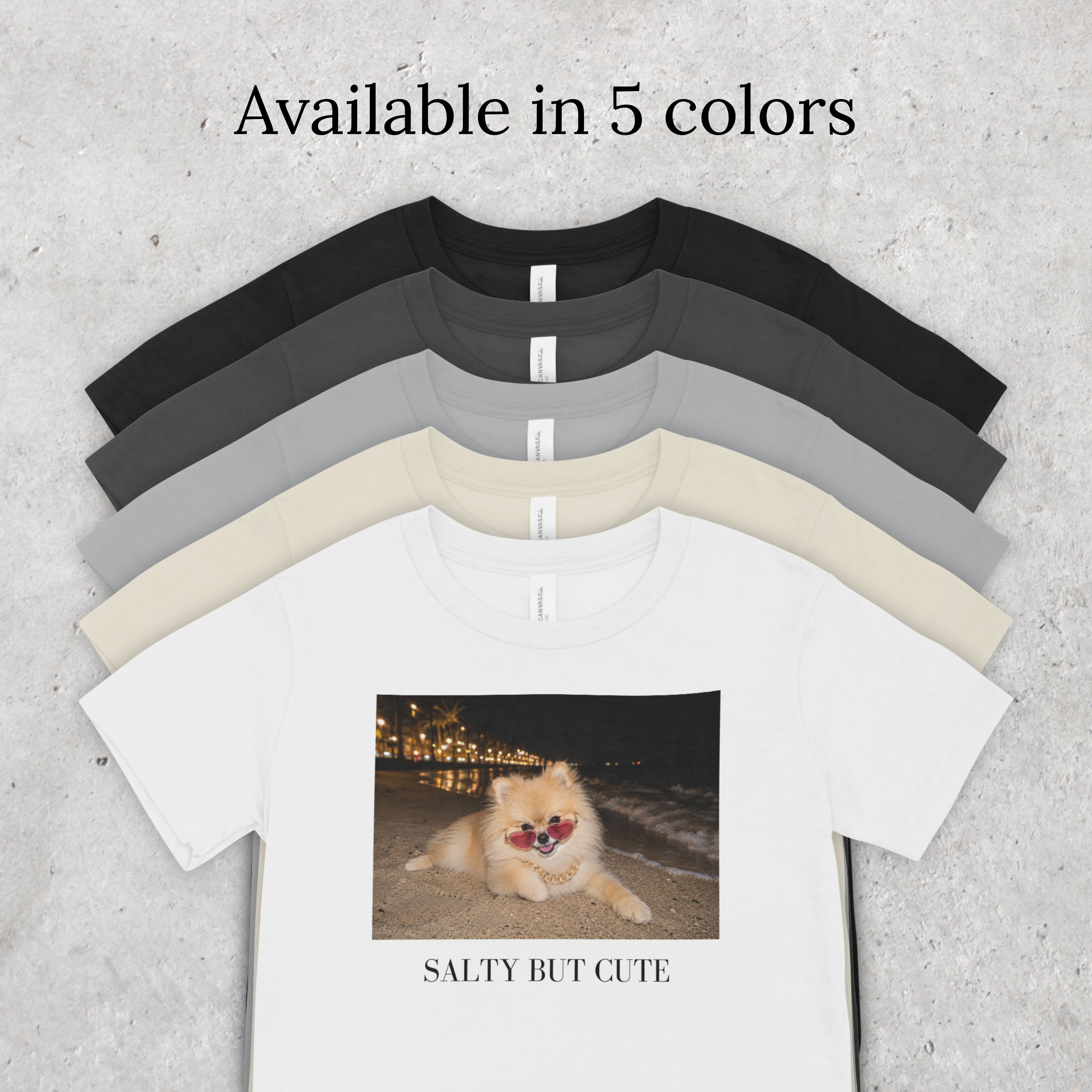Salty But Cute Pomeranian Beach T-Shirt | Dog Lover Tee
